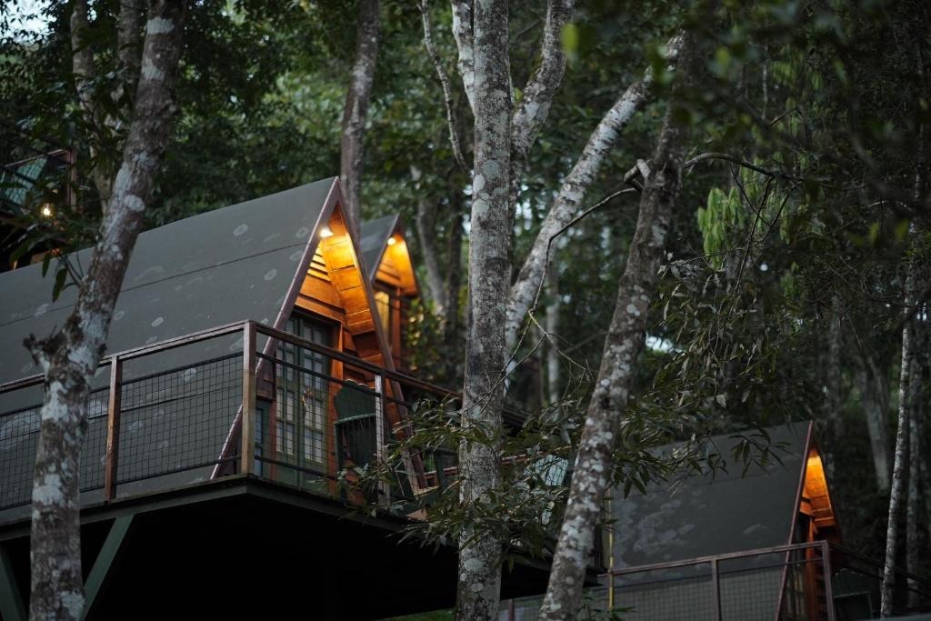 Kerala Hoilday Packages